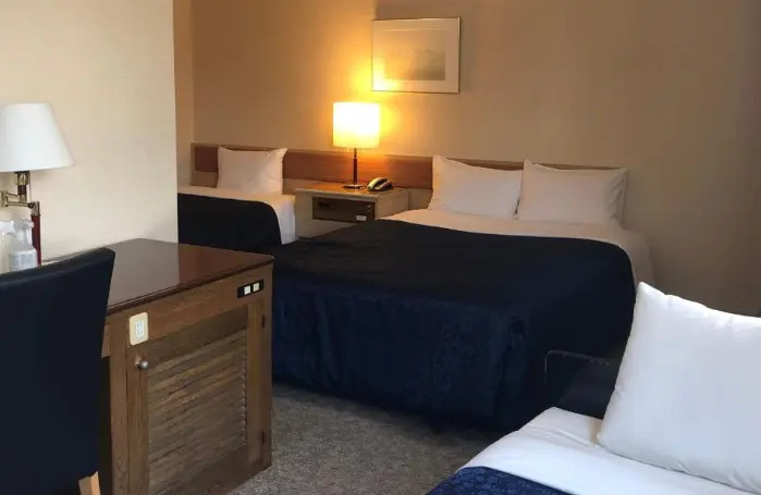 Asakusa Central Hotel 사진 5