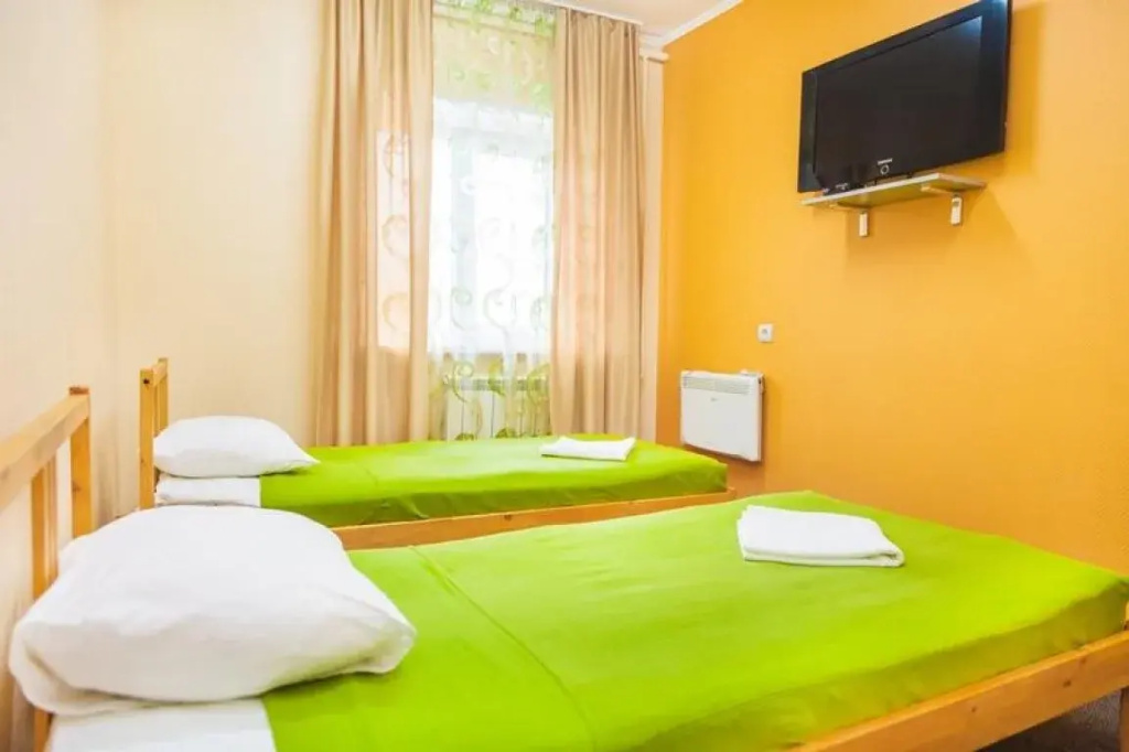 Standard Double room (twin beds)