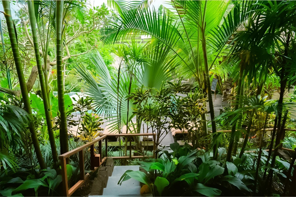 The Sun of Granary Resort and Villas - Chambres