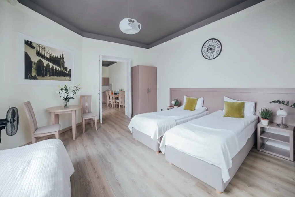 Deluxe Apartment