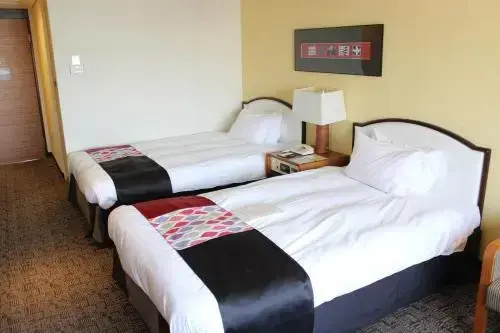 Standard Double room (twin beds)