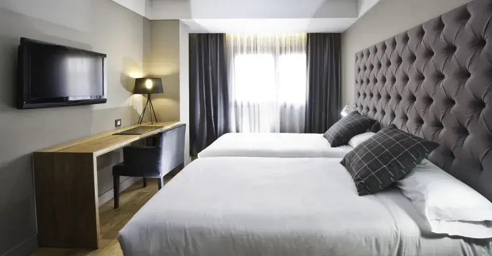 Standard Double room (twin beds)