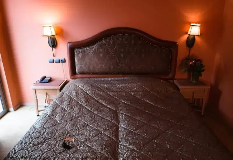 Standard Double room (full double bed)