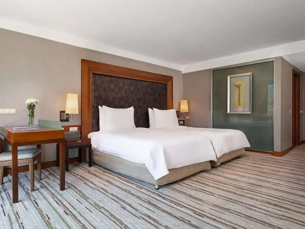 Standard Double room Mountain View (twin beds)