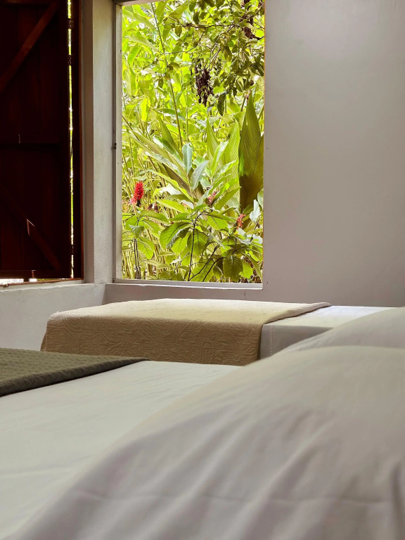Green Jungle House - Chambres