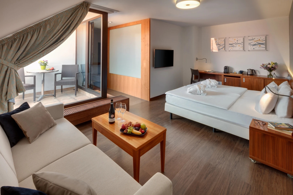 Executive Double Suite (full double bed)