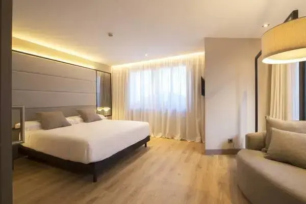 Double Junior Suite (full double bed)