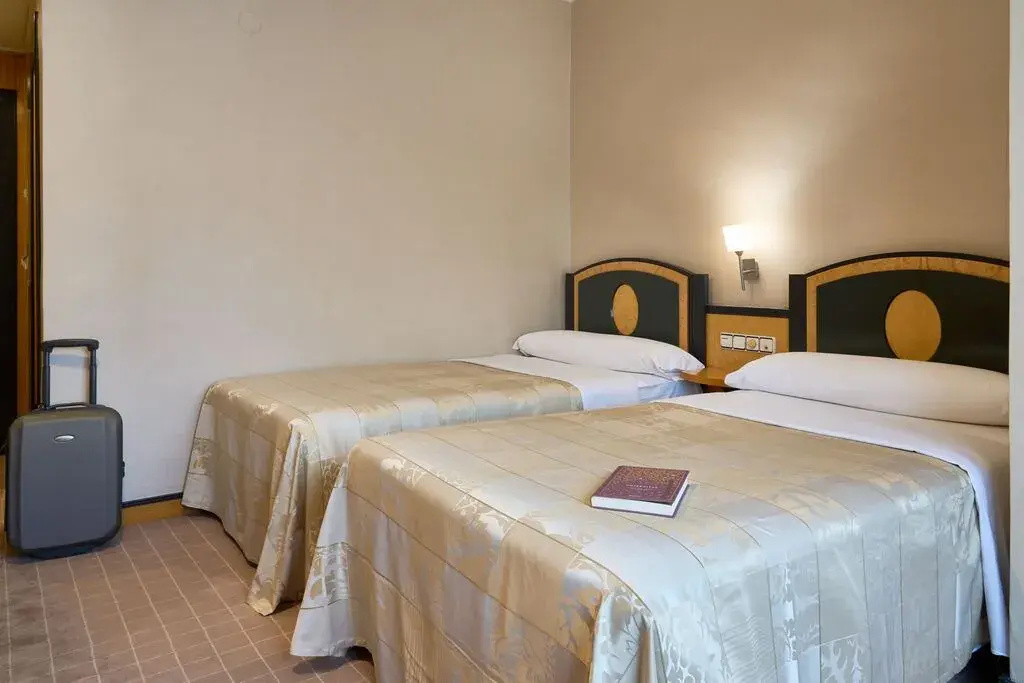 Comfort Double room (twin beds)