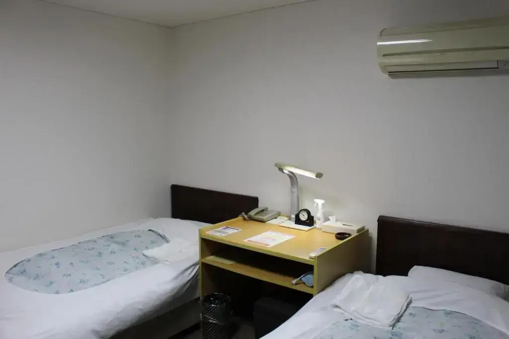 Smoking Double room (twin beds)