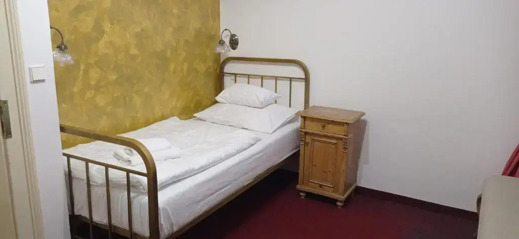 Hotel U Zlateho Jelena - Général