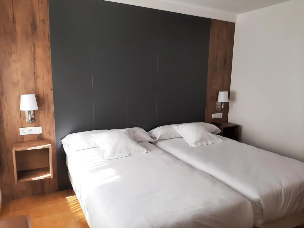 Economy Double room (twin beds)