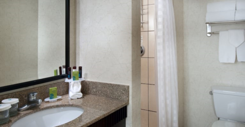 Embassy Suites by Hilton Chicago Downtown River North - Chambres