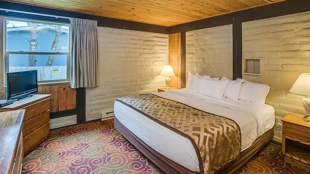 2 Bedrooms Kitchen Pet Friendly Suite