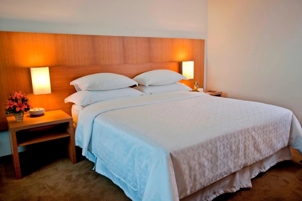 Sheraton Vitoria Hotel - Chambres