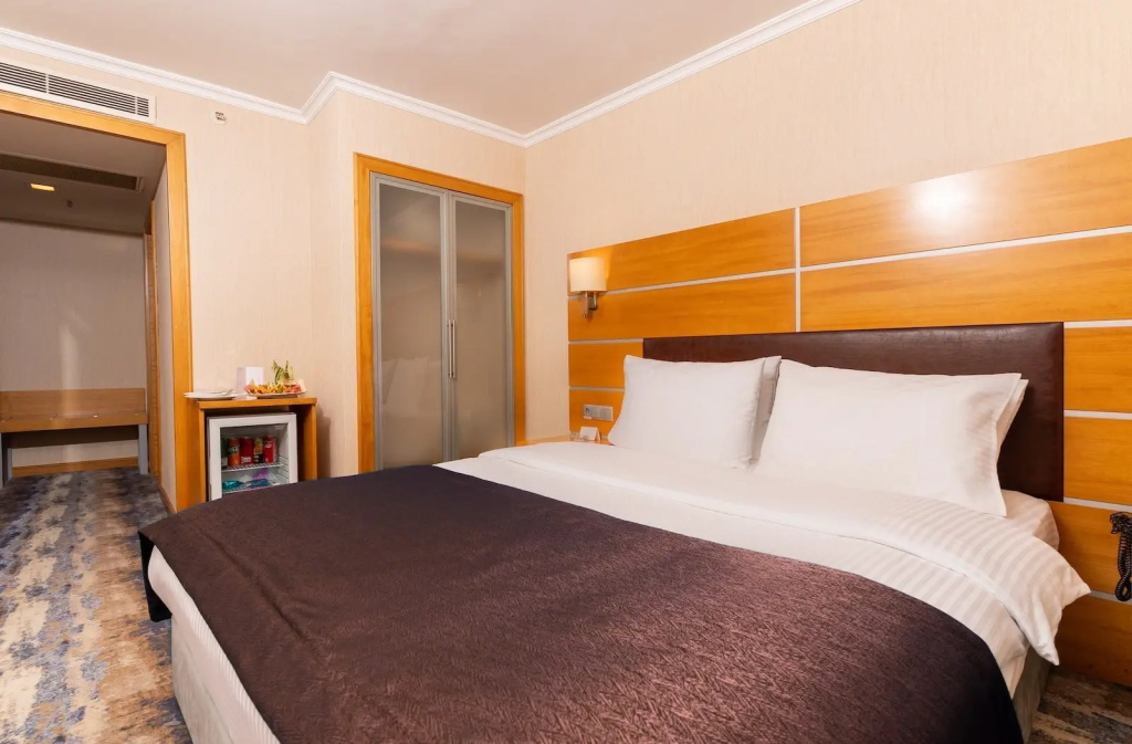 Ankara Plaza Hotel - Chambres