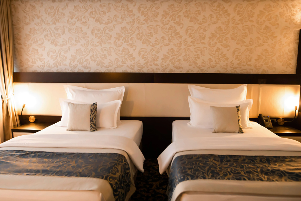 Deluxe Double room (twin beds)