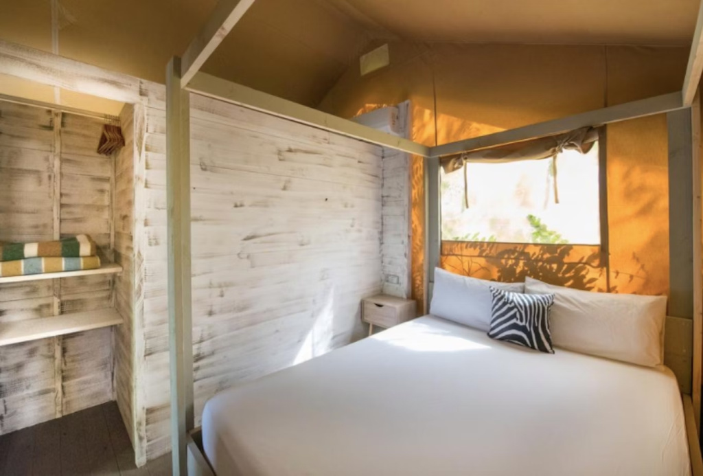 Safari Lodge room