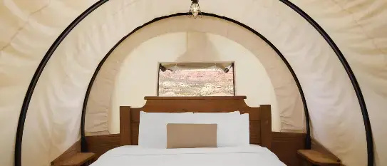 Showy Covered Wagon