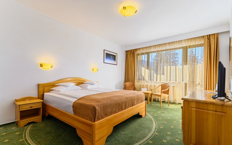 Hotel Casa Viorel - Chambres