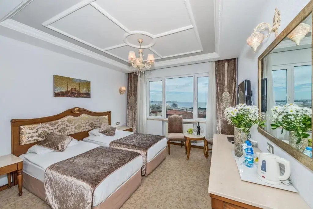 Deluxe Double room (twin beds)
