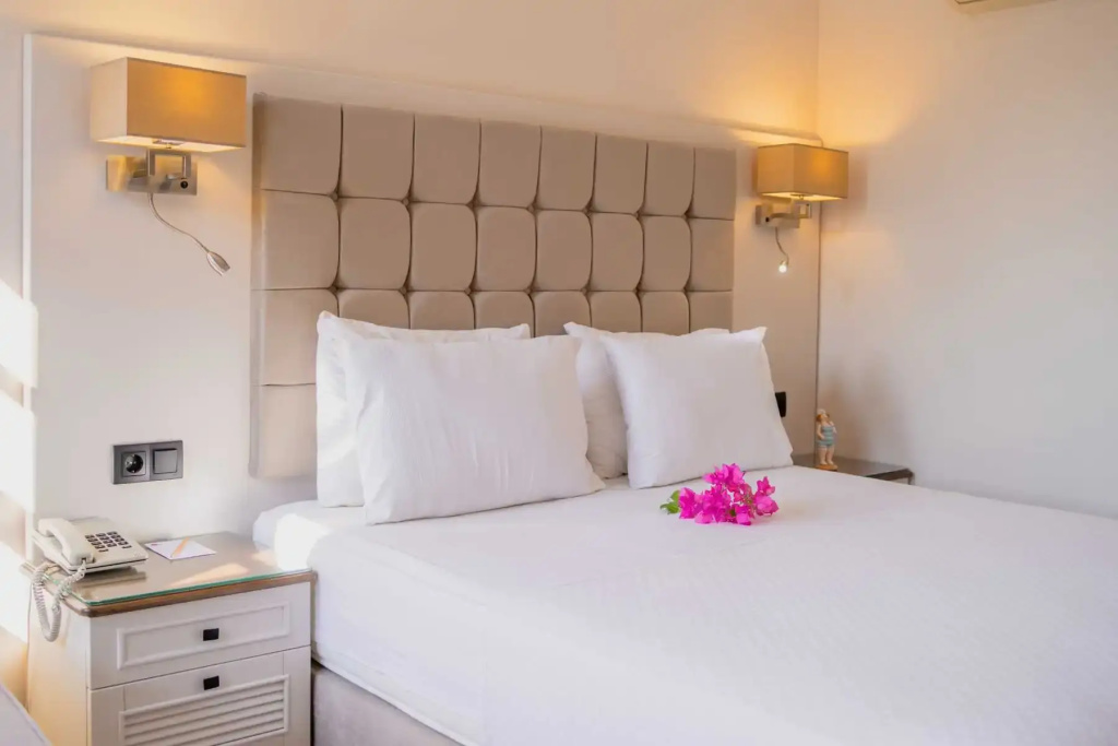 Superior Double room (full double bed)