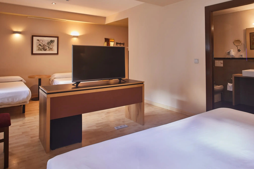 Hotel Silken Ordesa - Chambres