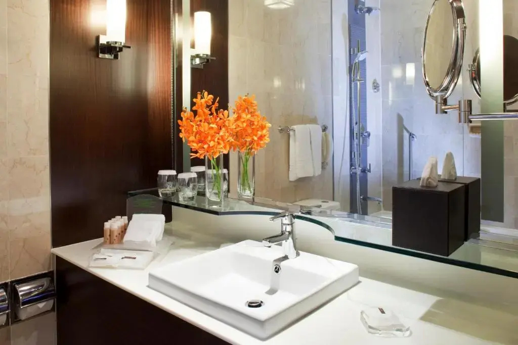Holiday Inn Singapore Orchard City Centre by IHG - Général