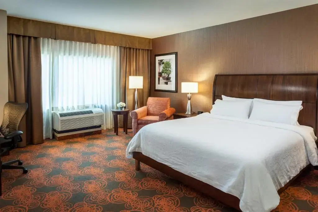 Premium Double W/IN-ROOM DRINKS-SNACKS full double bed