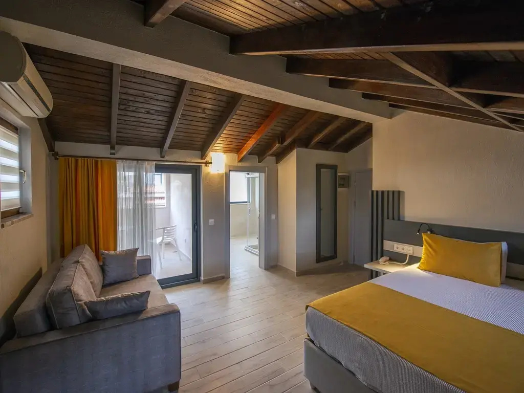Panaromic Attic Double Attic room with balcony (full double bed)