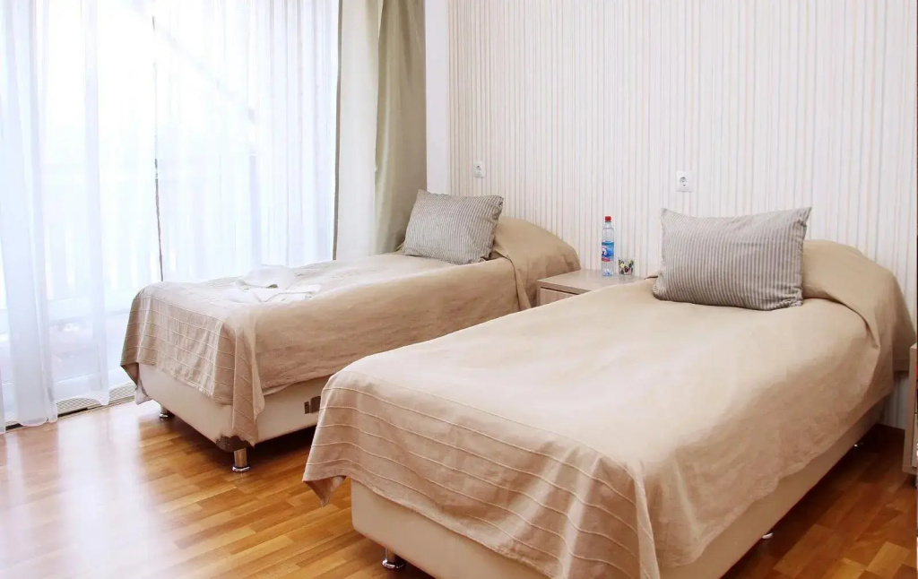 Standard Business Double room (twin beds)