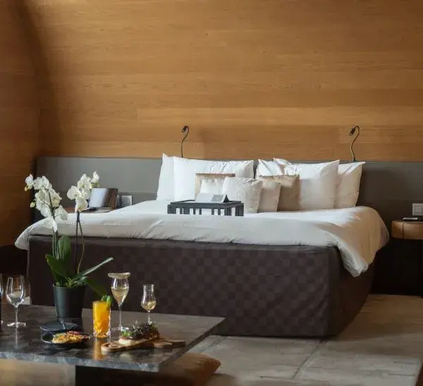 Deluxe Double Junior Suite (full double bed)