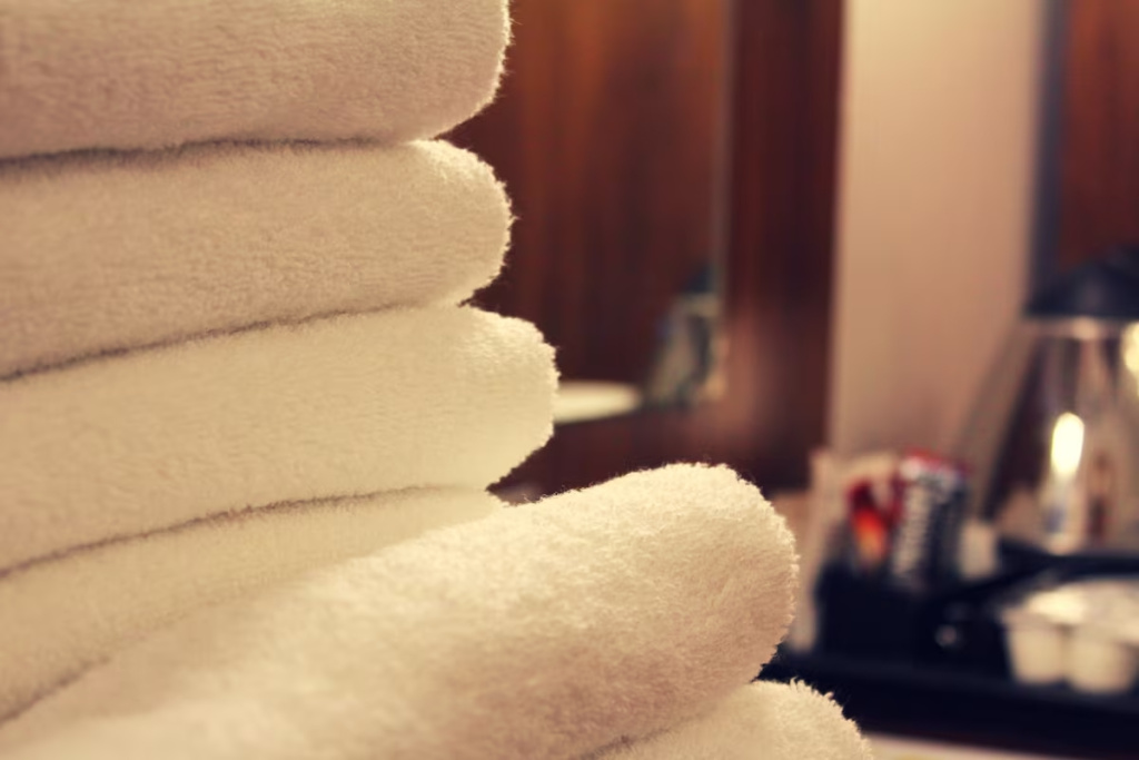 Ruskin Hotel - Chambres