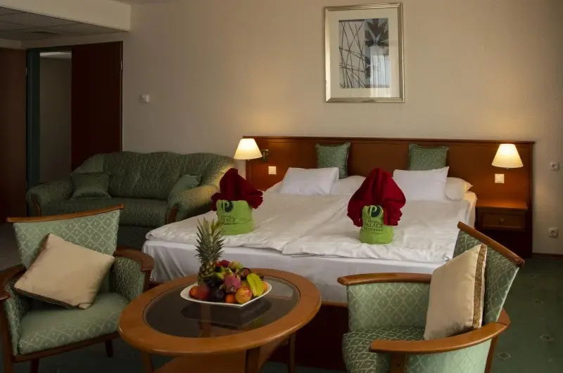 Hotel Palace Hévíz - Chambres