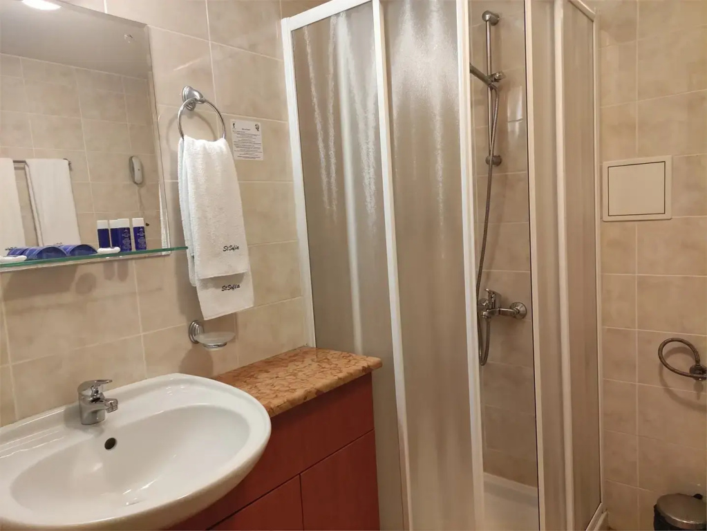 Sveta Sofia Hotel - Chambres
