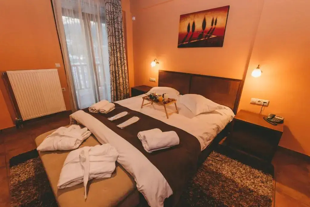 Double Suite with mountain view (full double bed)