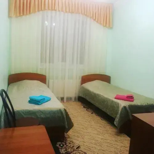 Large Double room (twin beds)