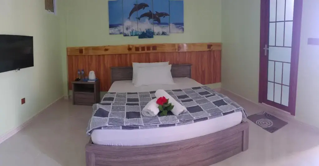 Deluxe Double room (full double bed)