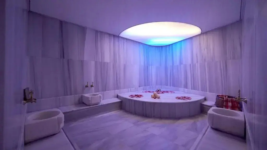 Point Hotel Taksim - Général