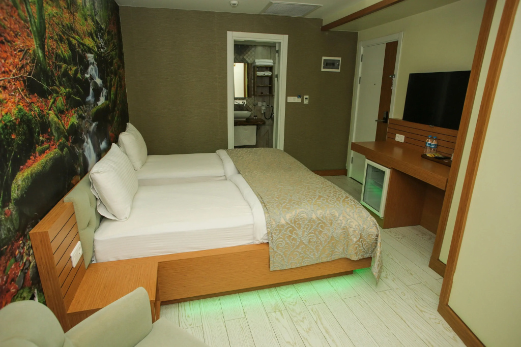 Deluxe Double room (twin beds)