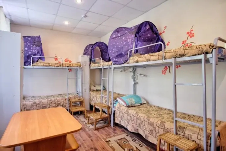 Sokolniki Hostel - фото 9