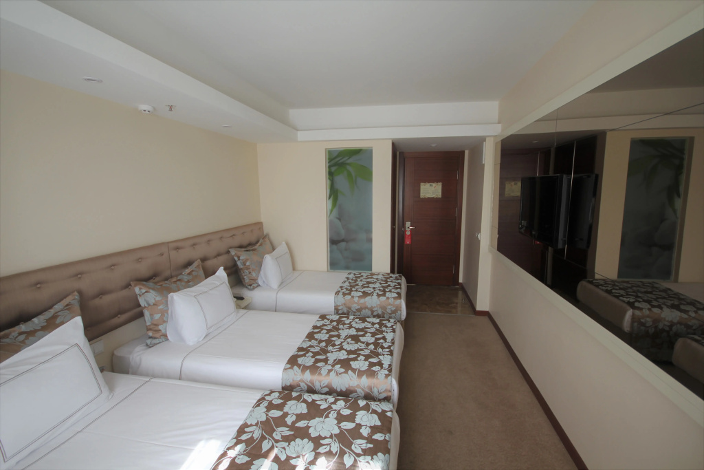 Grand Washington Hotel - Chambres
