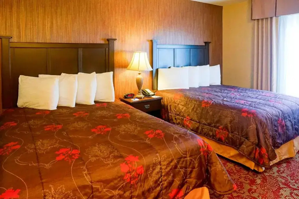 Castle Inn and Suites - Chambres