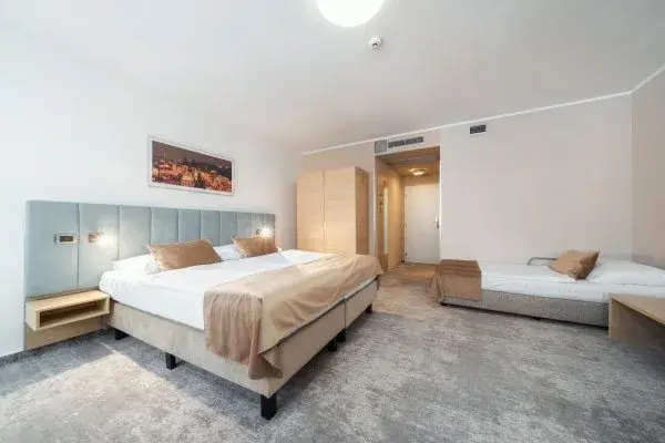 Hotel Ehrlich Prague - Chambres