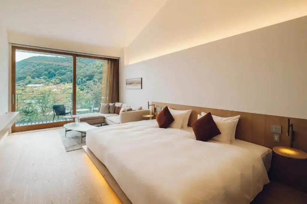 Standard Double room with view (full double bed)
