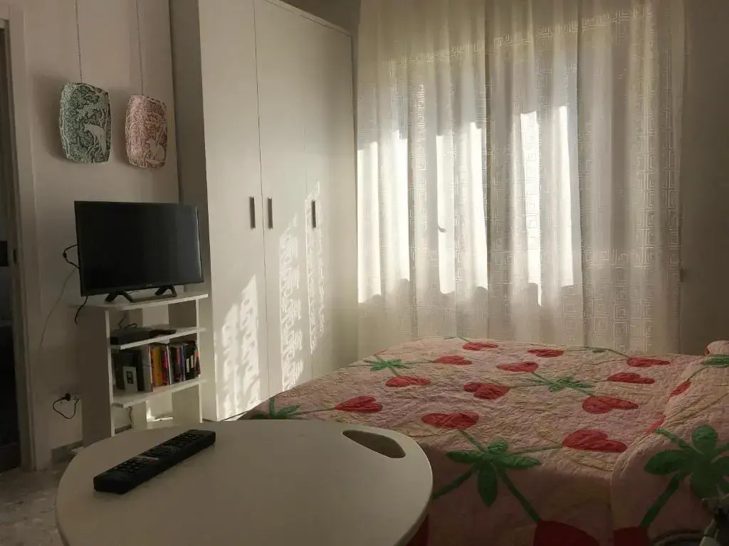 Large Double room (twin beds)