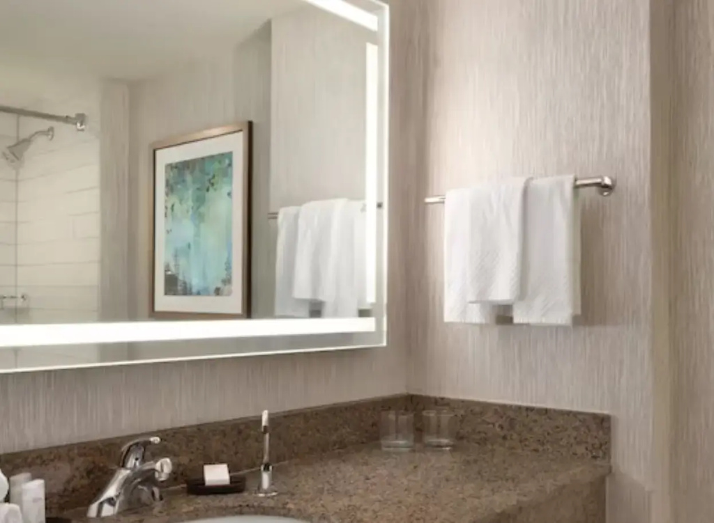 Embassy Suites by Hilton Atlanta at Centennial Olympic Park - Chambres