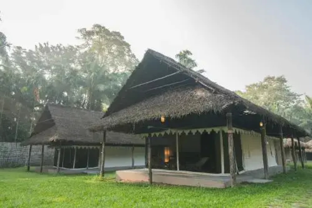 Barefoot at Havelock — the grounds