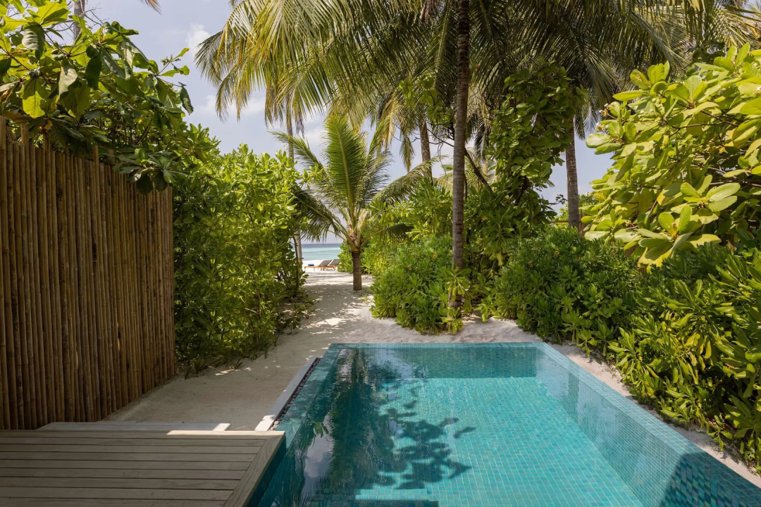 Avani+ Fares Maldives Resort — the pool