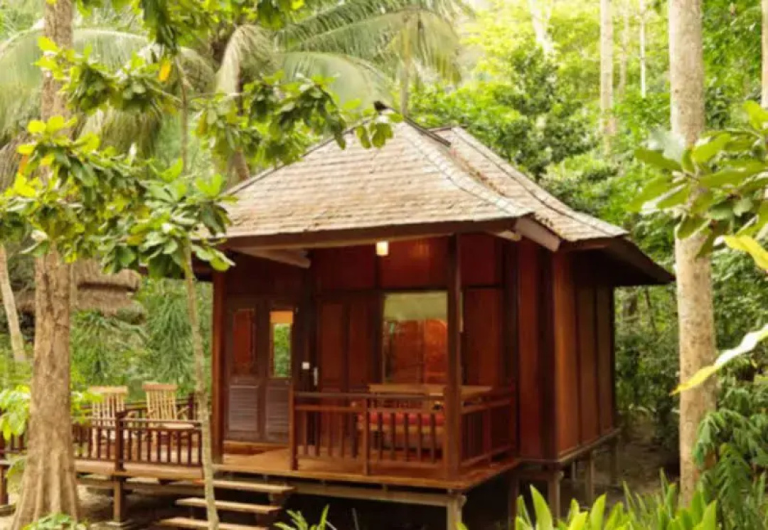 Barefoot at Havelock — the grounds