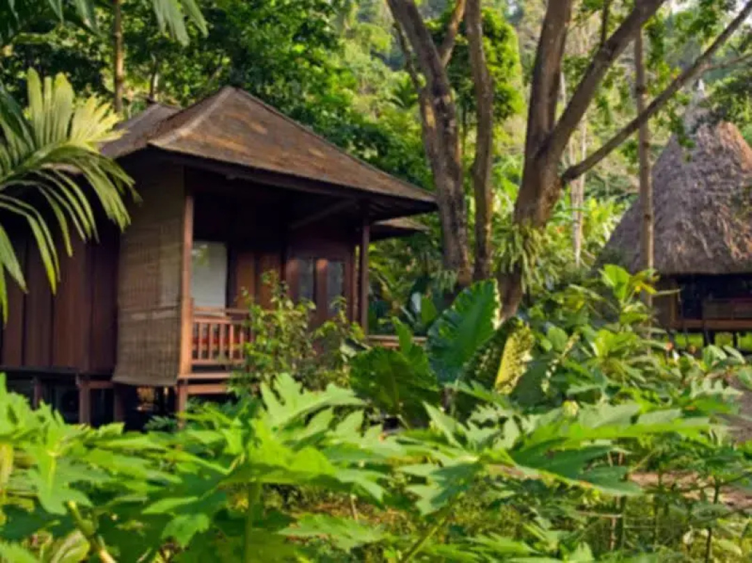 Barefoot at Havelock — the grounds